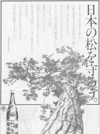 Start of the Protect Japan’s Pine Trees Campaign
