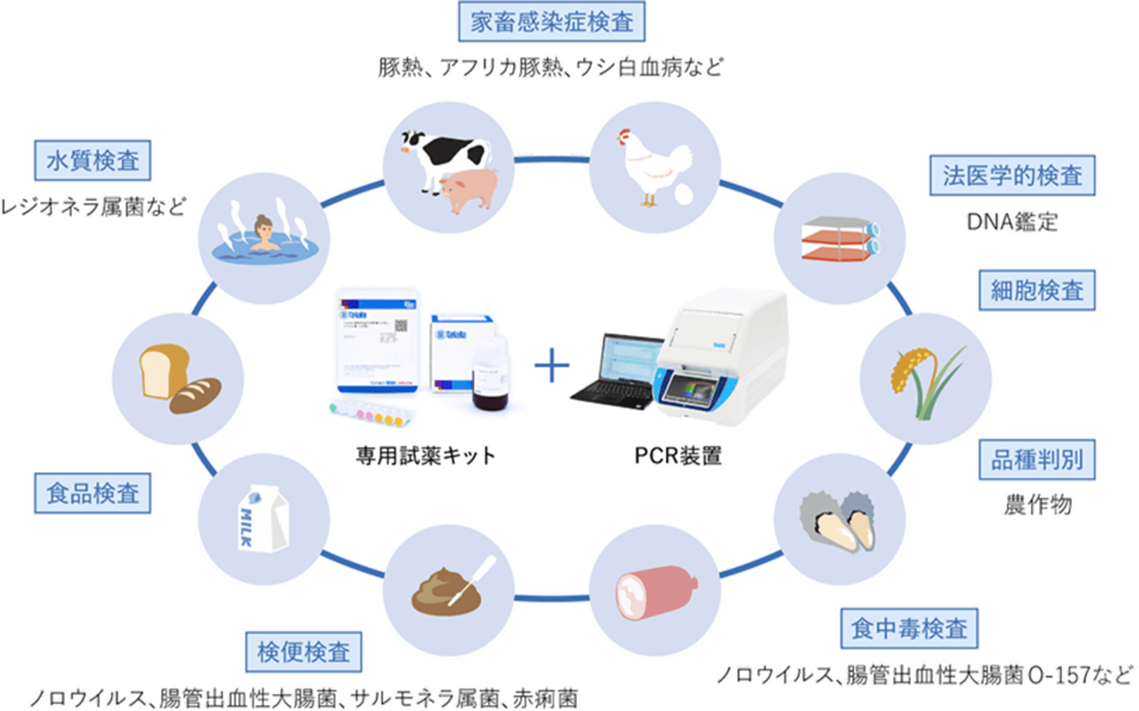 PCRの産業分野への展開