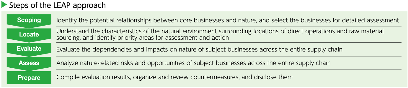 Steps of the LEAP approach