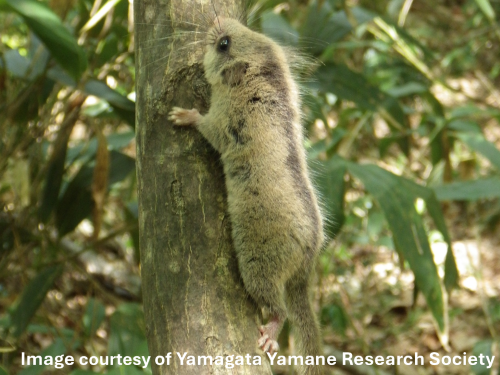 This provides subsidies for research and other activities to protect forest, grassland, and waterside natural environments.