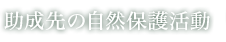 助成先の自然保護活動