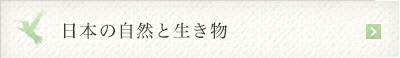 日本の自然と生き物