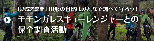 【助成先訪問】山形の自然はみんなで調べて守ろう!モモンガレスキューレンジャーとの保全調査活動