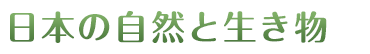 日本の自然と生き物