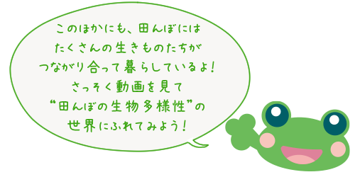 ケロっ田