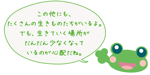ケロっ田