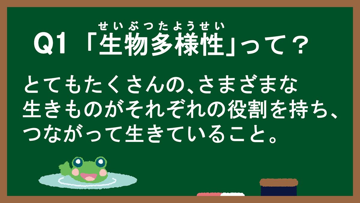 Q1：「生物多様性（せいぶつたようせい）」って？