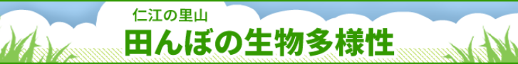 仁江の里山 田んぼの生物多様性