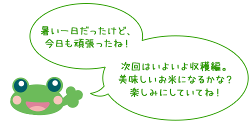 暑い一日だったけど、今日も頑張ったね！
                    次回はいよいよ収穫編。美味しいお米になるかな？ 楽しみにしていてね！
