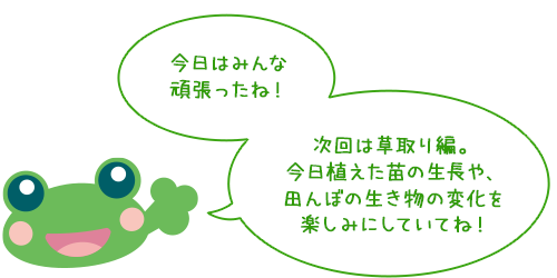 今日はみんな頑張ったね！
次回は草取り編。
今日植えた苗の生長や、田んぼの生き物の変化を楽しみにしていてね！

