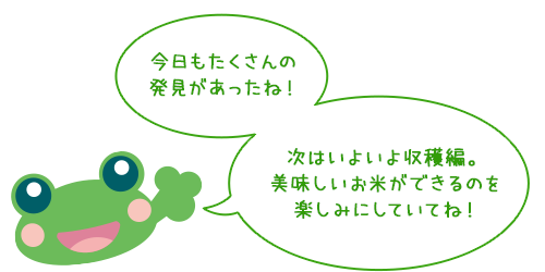 今日もたくさんの
発見があったね！
次はいよいよ収穫編。
美味しいお米ができるのを
楽しみにしていてね！
