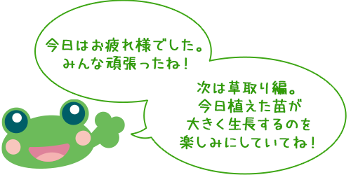今日はみんな頑張ったね！
次回は草取り編。
今日植えた苗の生長や、田んぼの生き物の変化を楽しみにしていてね！
