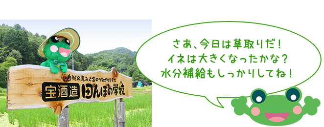 さあ、今日は草取りだ!
イネは大きくなったかな?
水分補給もしっかりしてね!