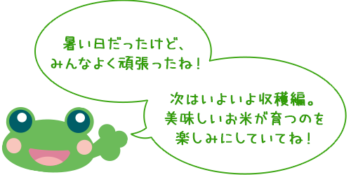 暑い日だったけど、
みんなよく頑張ったね!
次はいよいよ収穫編。
美味しいお米が育つのを
楽しみにしていてね!