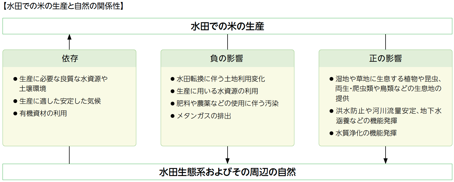 水田での米の生産と自然の関係性